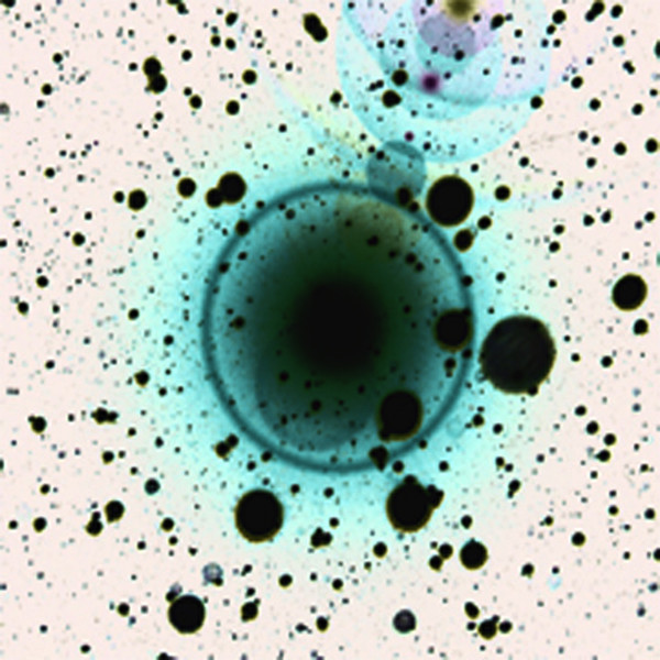 Zero 7: Simple Science&nbsp;EP